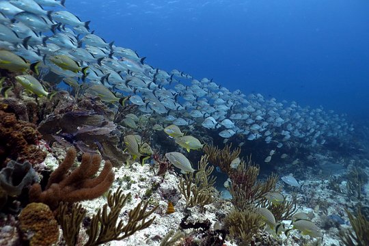 Tour image 5
