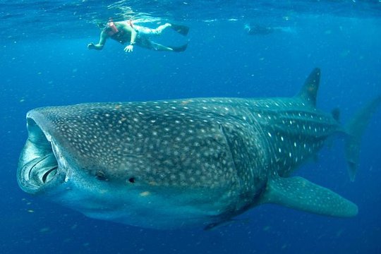 Tour image 6