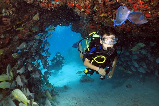 Tour image 1