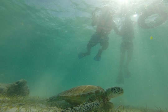Tour image 4