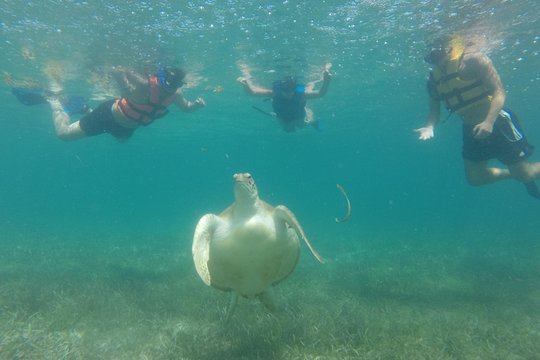 Tour image 6