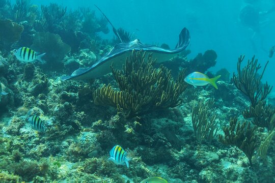 Tour image 7