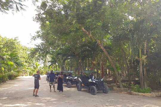 Tour image 11