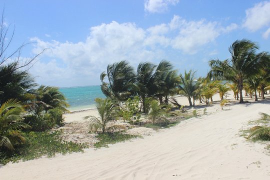 Tour image 1