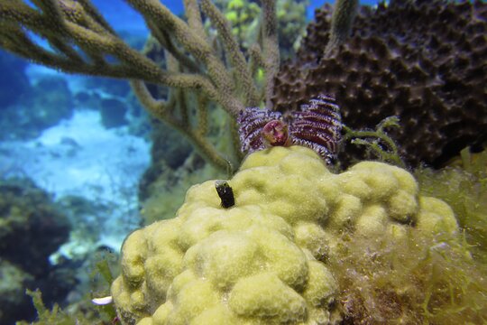 Tour image 4
